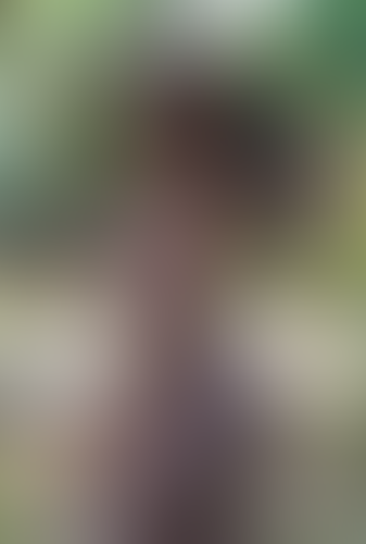 Geblurrte Content-Vorschau
