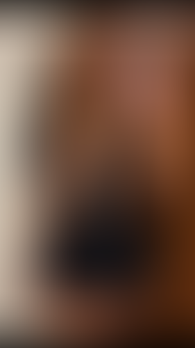 Geblurrte Content-Vorschau