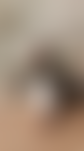 Geblurrte Content-Vorschau