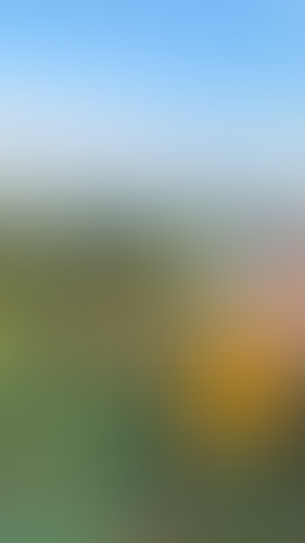 Geblurrte Content-Vorschau