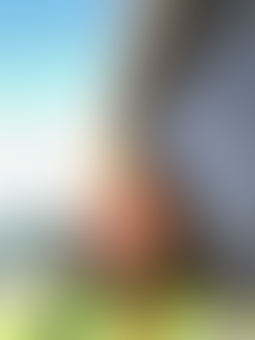Blurred content preview