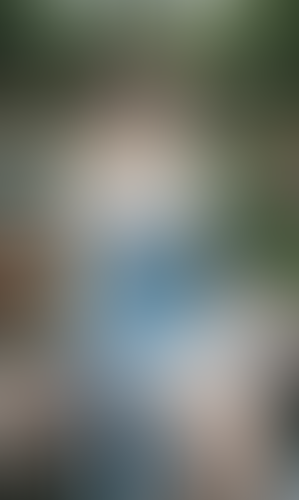 Geblurrte Content-Vorschau