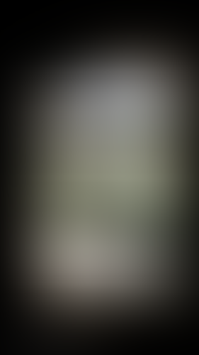 Geblurrte Content-Vorschau