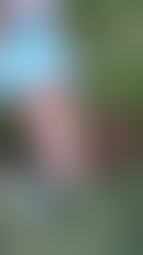 Geblurrte Content-Vorschau