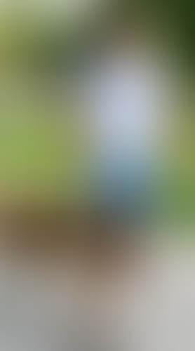 Geblurrte Content-Vorschau