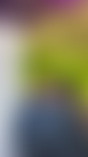 Geblurrte Content-Vorschau