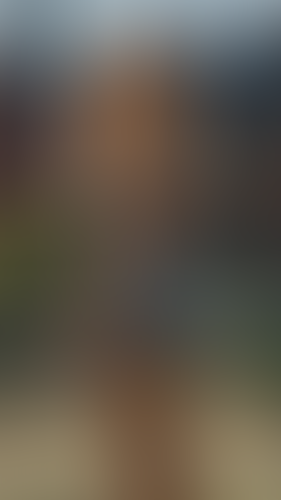 Geblurrte Content-Vorschau