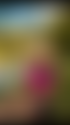 Geblurrte Content-Vorschau