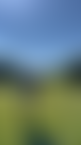 Geblurrte Content-Vorschau