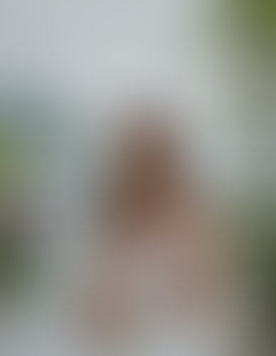 Geblurrte Content-Vorschau