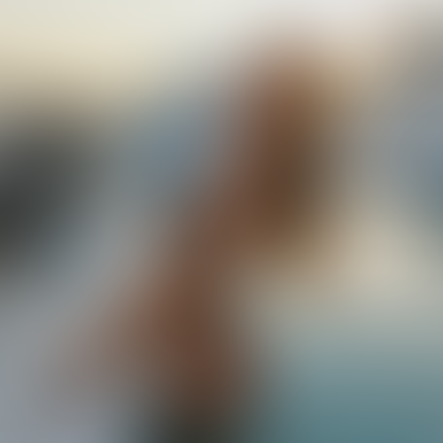 Geblurrte Content-Vorschau